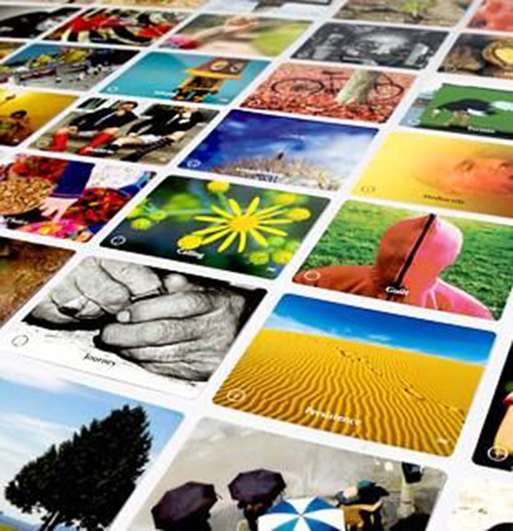 Points of You®️ coaching, Kamilla Életmódközpont